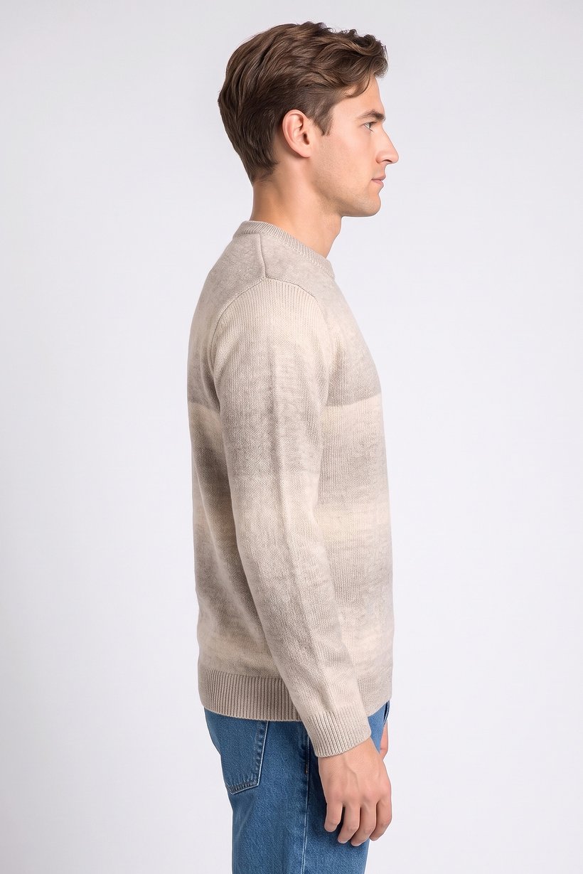 Men Crew Neck Textured Long Sleeve Sweater, Multicolor
