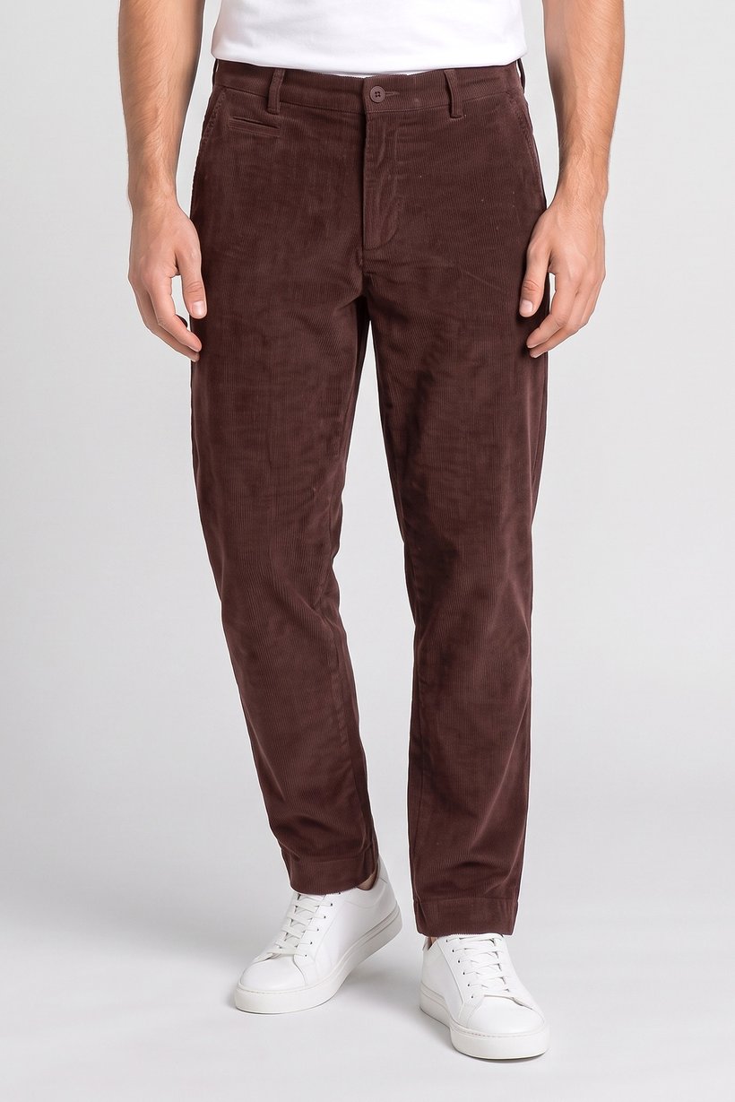 Men Straight Fit  Textured Corduroy Pants, Brown