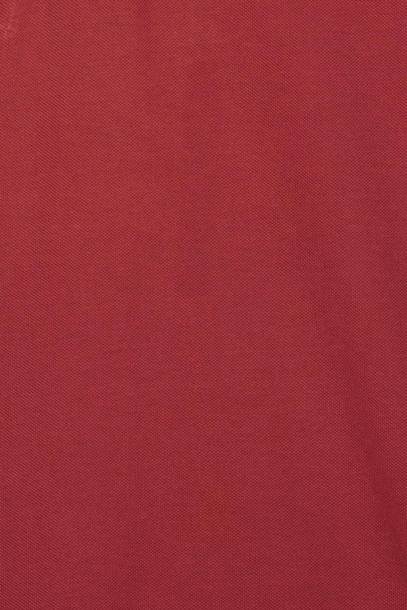 Men Regular Fit Solid Long Sleeve Polo Shirt, Maroon
