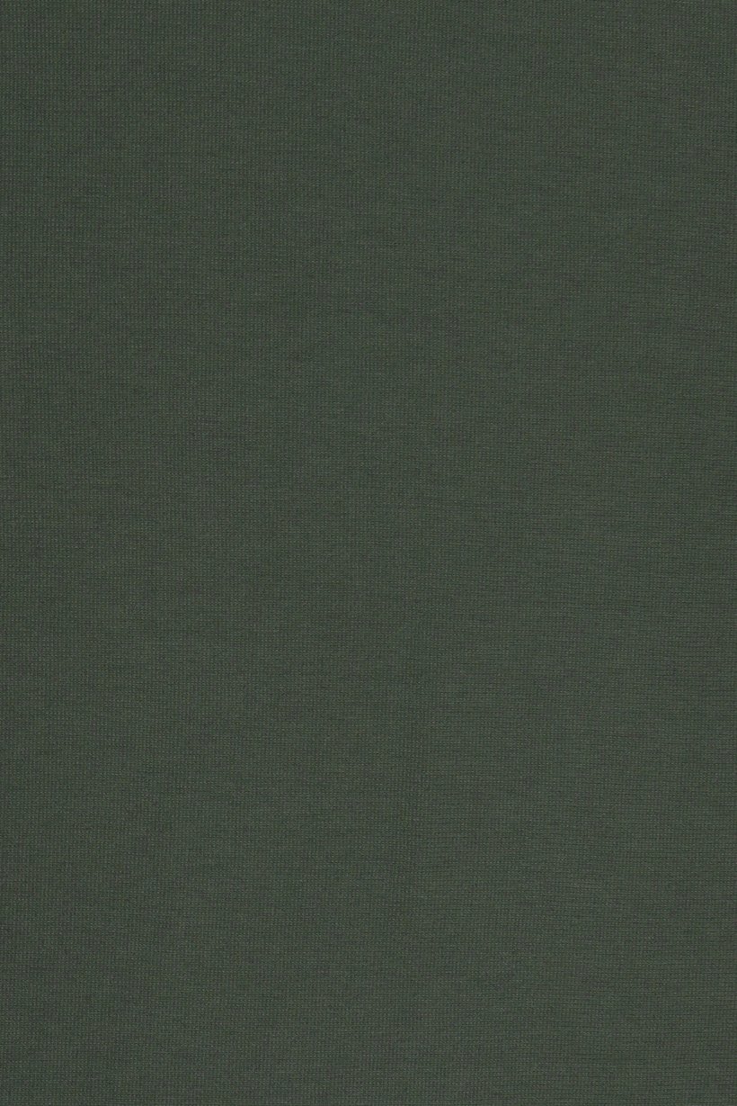 Men Regular Fit Long Sleeve Outdoor Sweatshirt, Olive