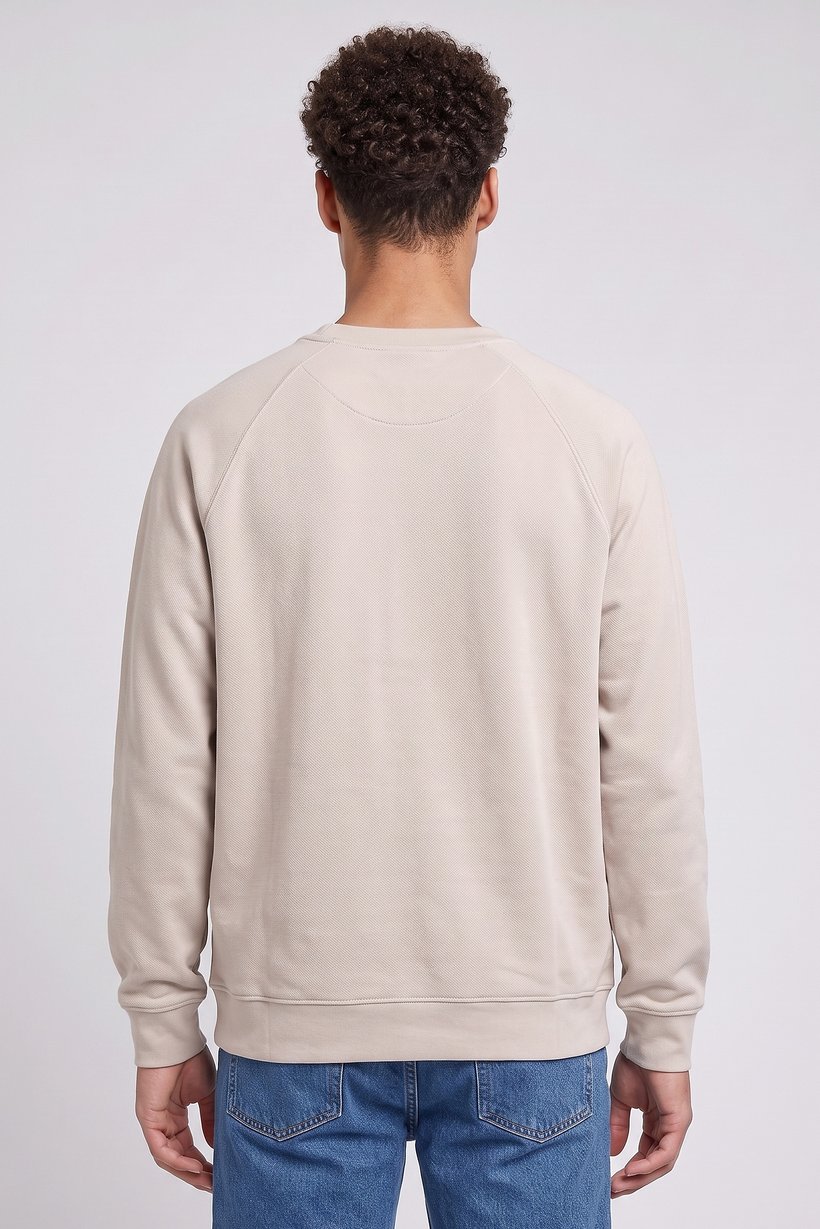 Men Crew Neck Textured Sweater, Light Beige