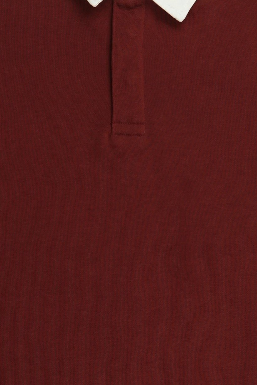 Men Regular Fit Long Sleeve Plain Polo Shirt, Maroon