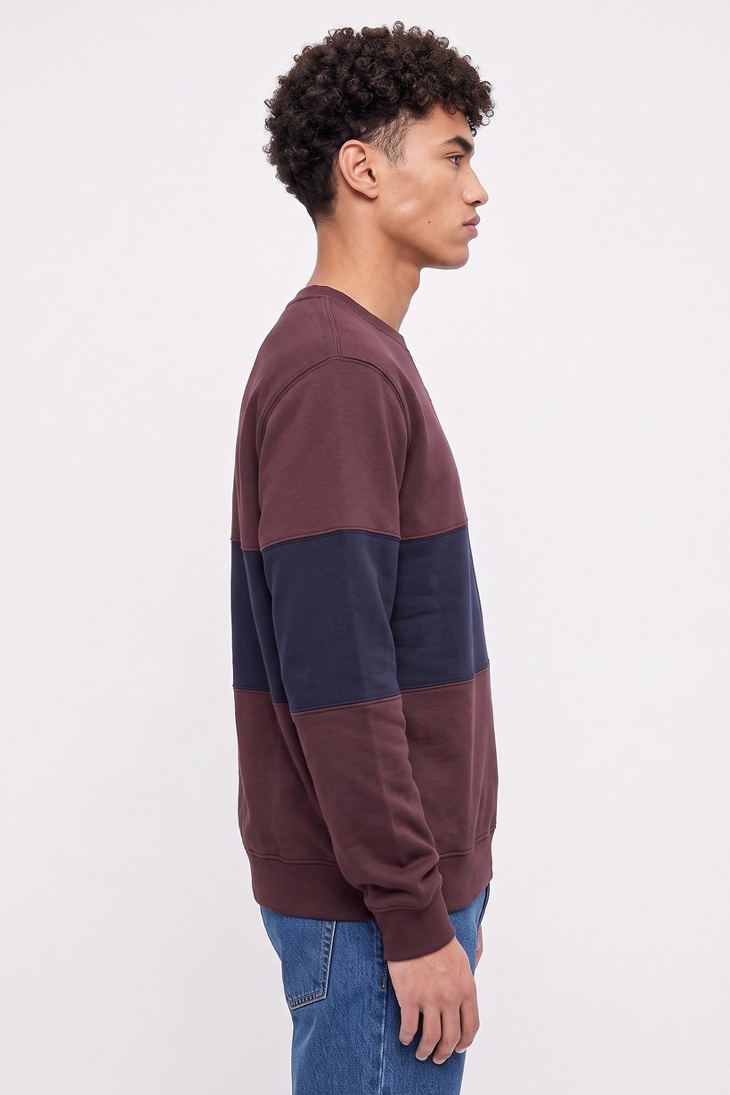 Men Crew Neck Two-Tone Long Sleeve Sweatshirt, Multicolor