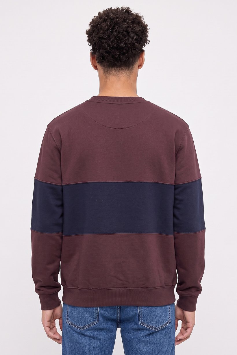 Men Crew Neck Two-Tone Long Sleeve Sweatshirt, Multicolor