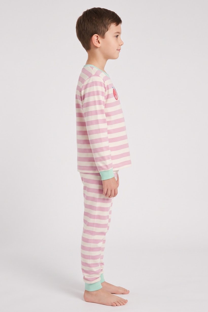 Kids Boy 2 Pieces Long Sleeve Stripe Top And Bottom Pajama Set, Multicolor