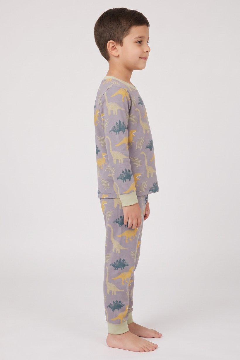 Toddlers Boy 2 Pieces Long Sleeve Allover Print Top And Bottom Pajama Set, Multicolor