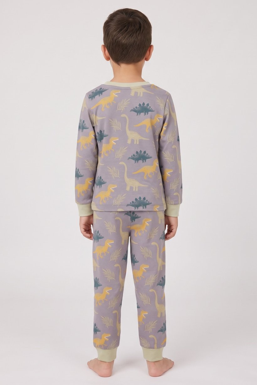 Toddlers Boy 2 Pieces Long Sleeve Allover Print Top And Bottom Pajama Set, Multicolor