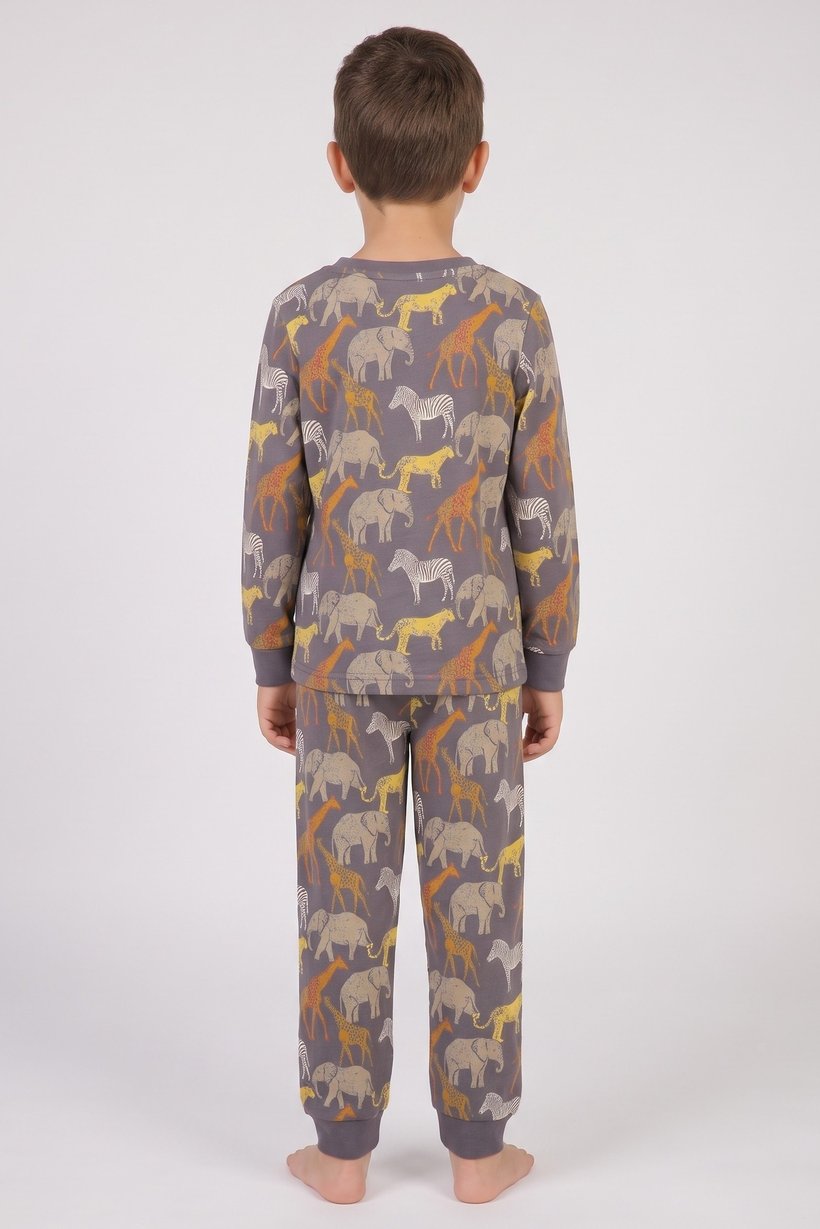 Toddlers Boy 2 Pieces Long Sleeve Allover Print Top And Bottom Pajama Set, Multicolor