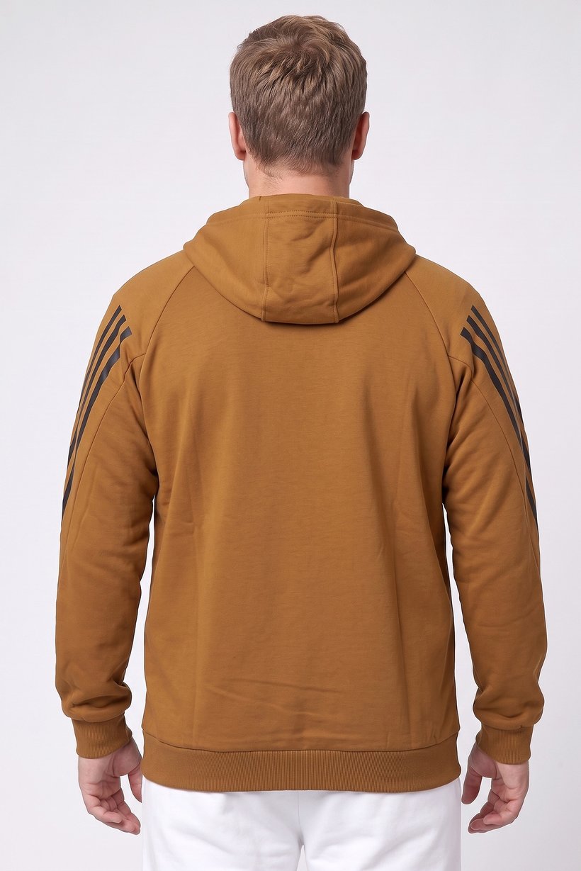 Men Sportswear Fit Long Sleeve Outdoor Hoodie, Brown