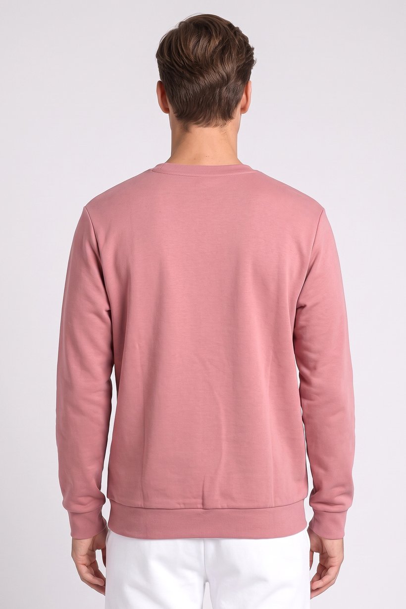 Men Sportswear Fit Long Sleeve Outdoor Sweatshirt, Mauve