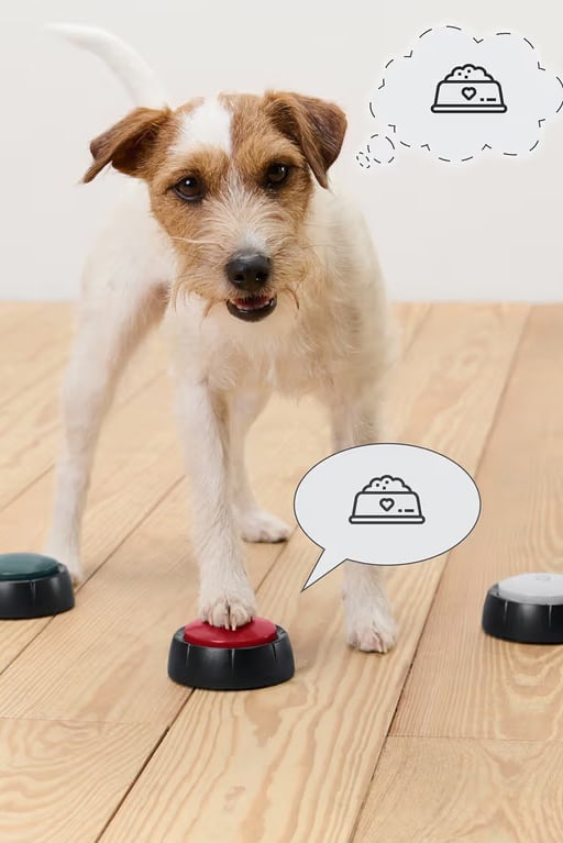 3 Pieces Dog Training Buttons, Multicolor