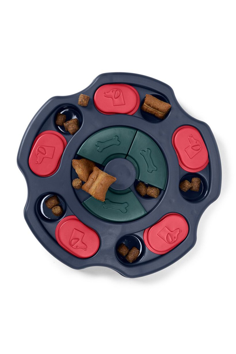 Dog Intelligence Toy