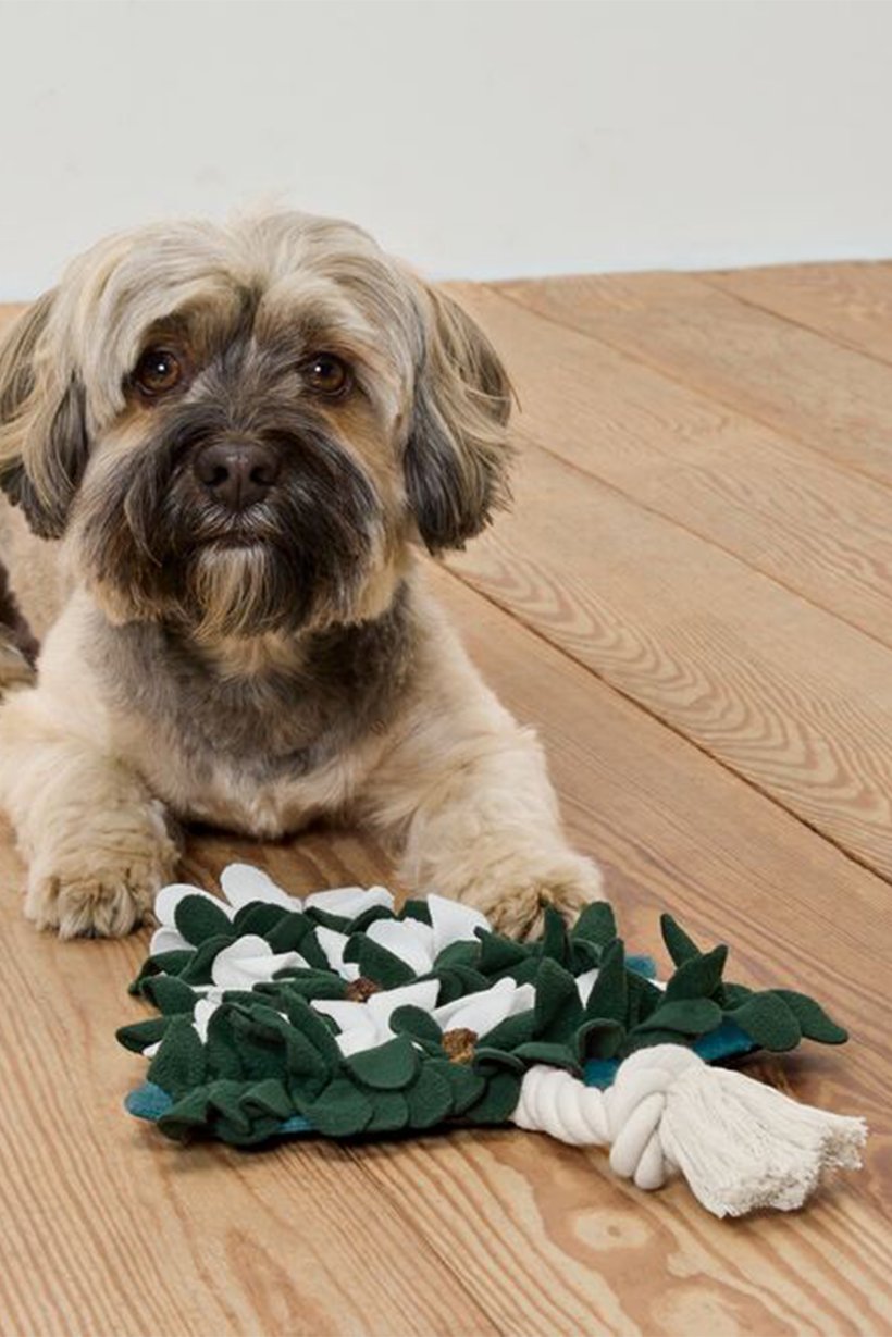 Animal Sniffing Toy, Multicolor