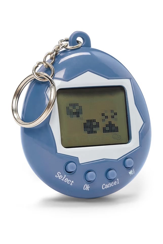 Digital Pet