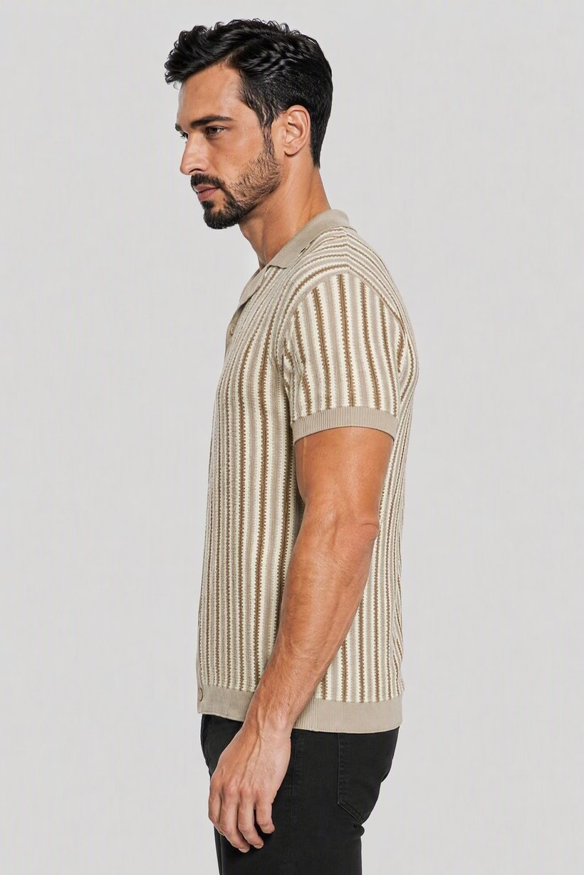 Men Regular Fit Short Sleeve Stripe Polo Shirt, Multicolor