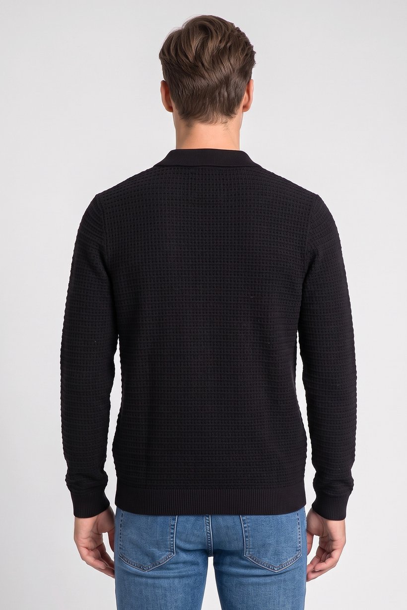 Men Regular Fit Textured Long Sleeve  Polo Shirt, Black