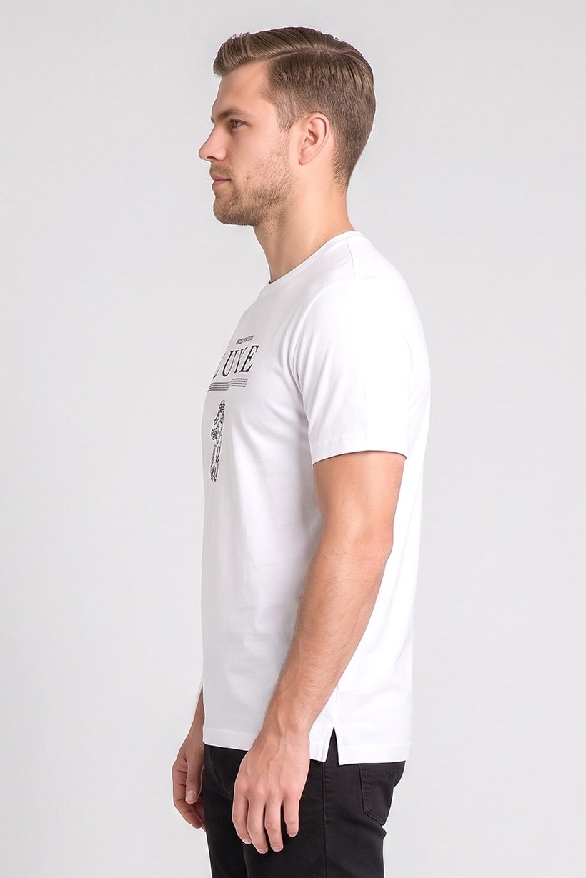 Men Crew Neck Short Sleeve Graphic Print T-Shirt, White