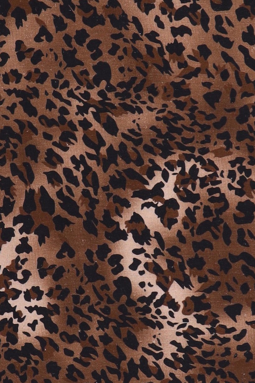 Women Regular Fit Animal Print Wide Leg Pants, Multicolor