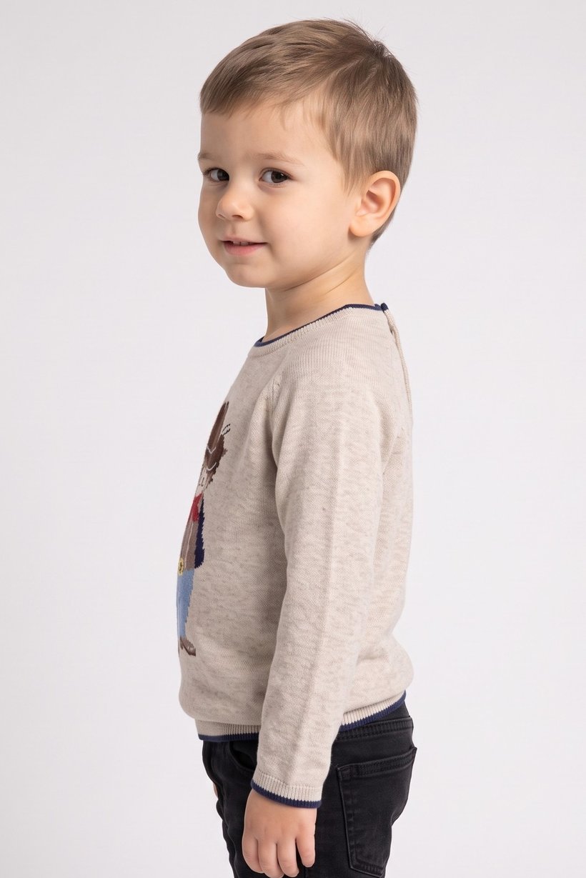 Toddlers Boy Long Sleeve Graphic Print Sweater, Beige