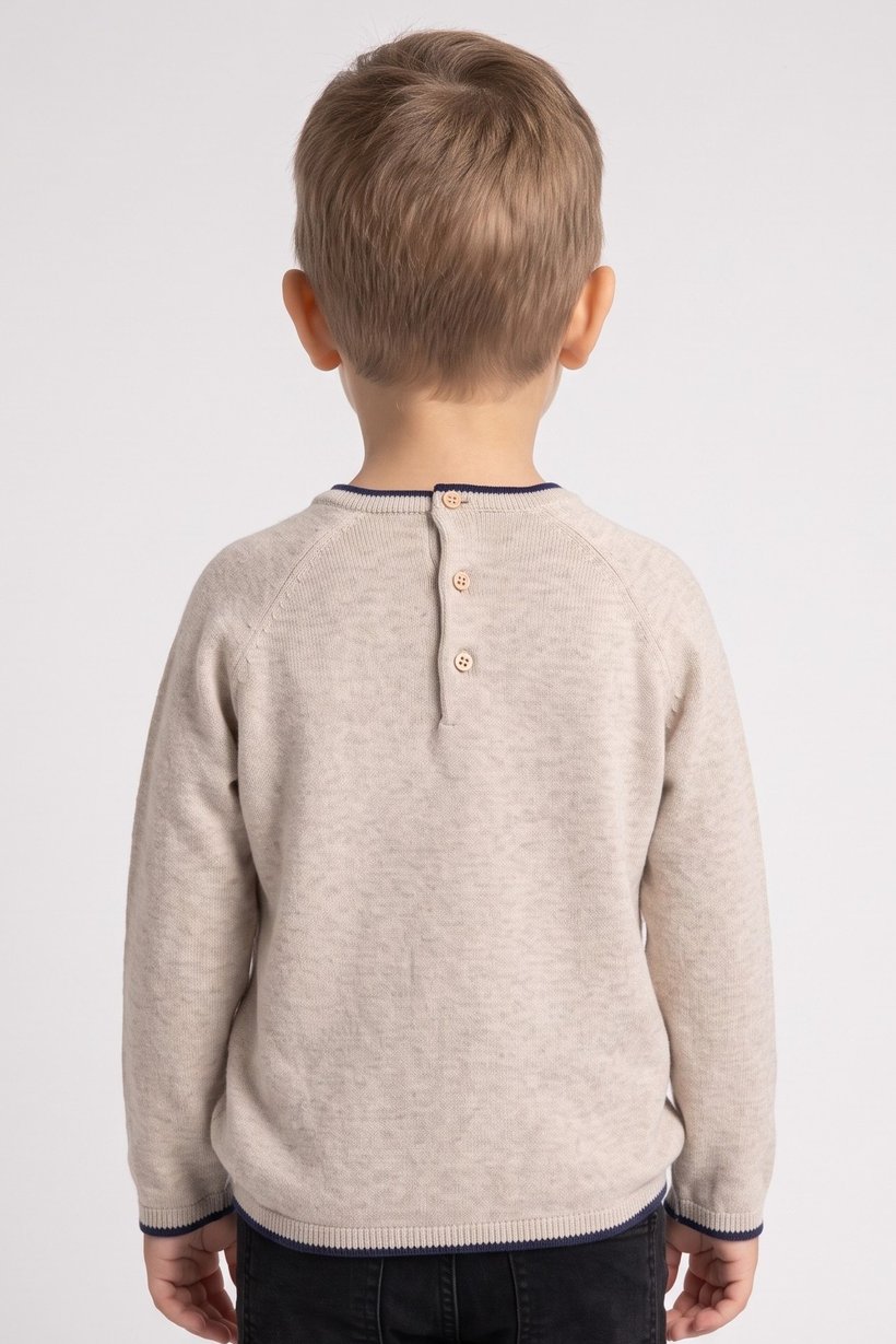 Toddlers Boy Long Sleeve Graphic Print Sweater, Beige
