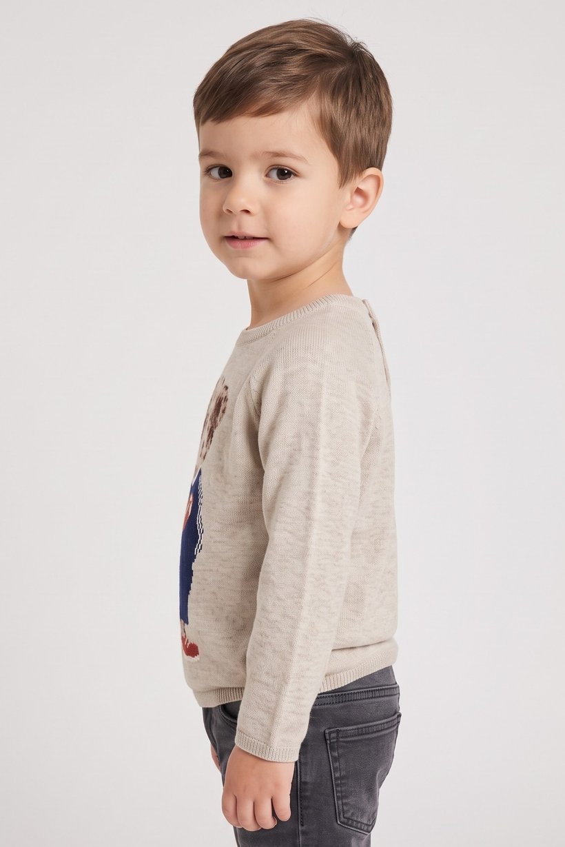 Toddlers Boy Long Sleeve Graphic Print Sweater, Beige