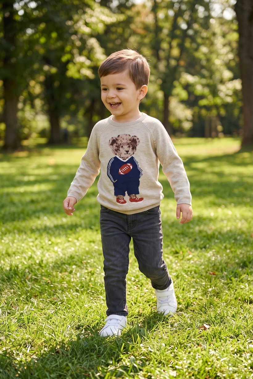 Toddlers Boy Long Sleeve Graphic Print Sweater, Beige