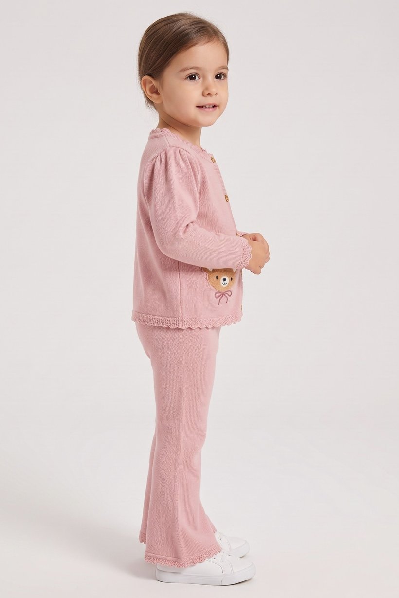 Toddlers Girl 2 Pcs Embroidered Sweater And Pants Set, Dusty Pink
