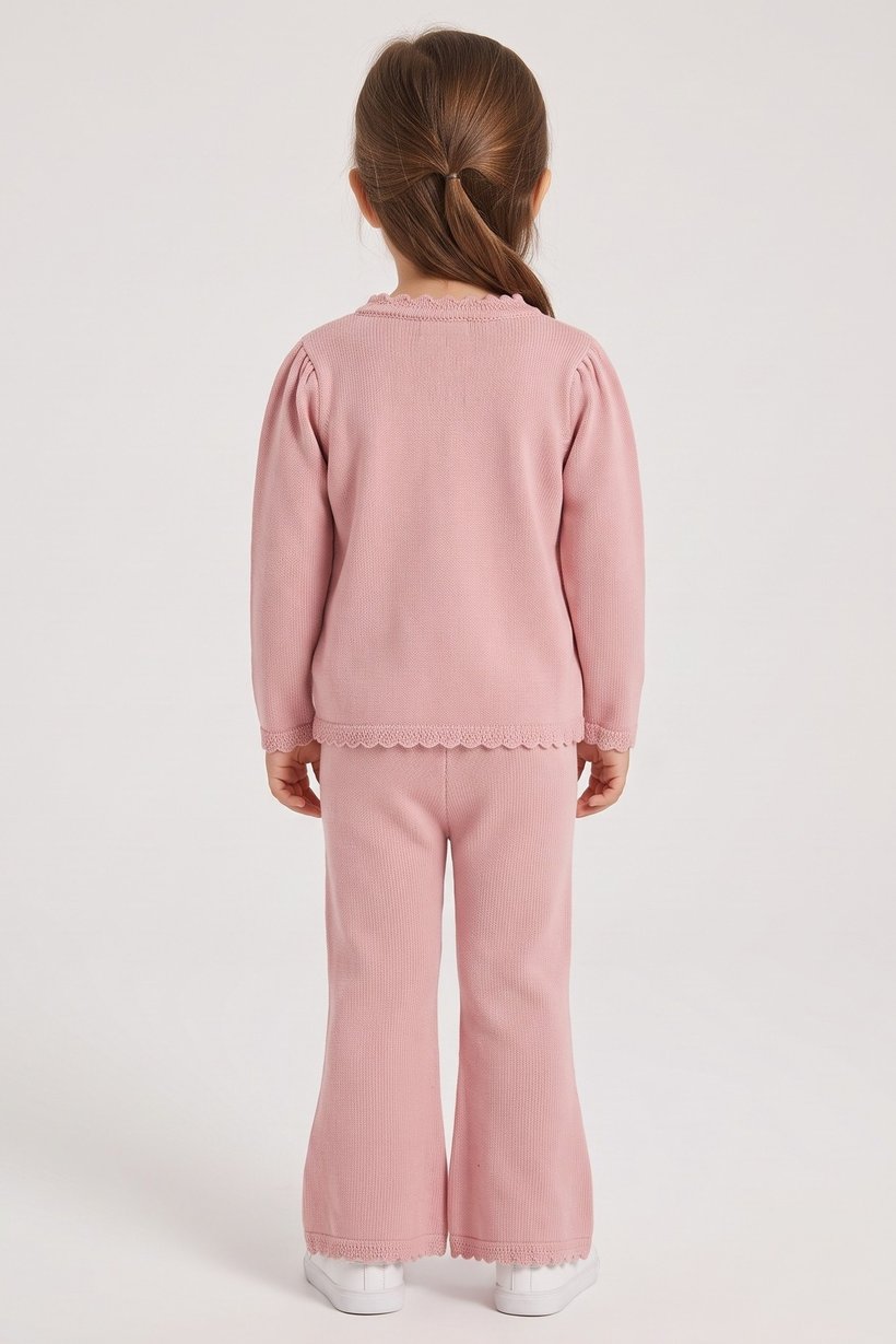 Toddlers Girl 2 Pcs Embroidered Sweater And Pants Set, Dusty Pink