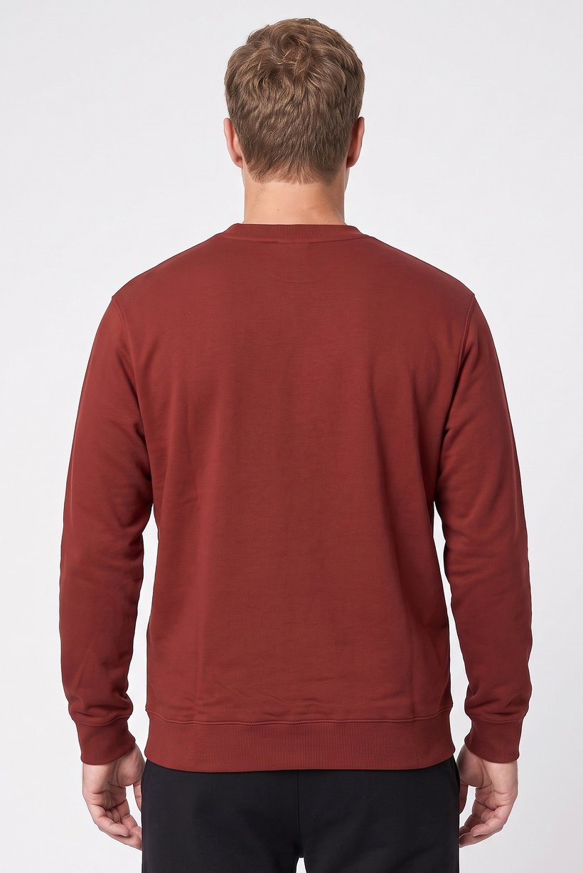 Men Sportswear Fit Long Sleeve Outdoor Sweatshirt, Maroon