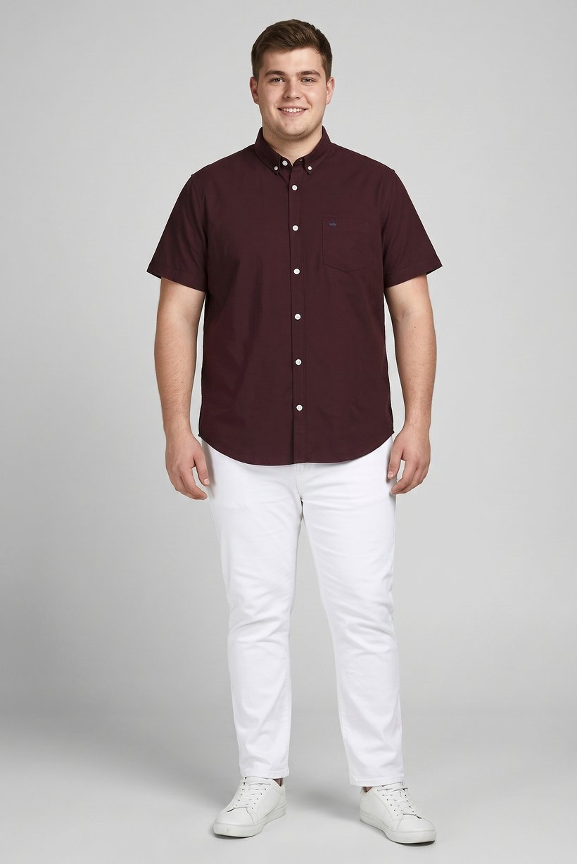 Men Regular Fit Embroidered Logo Short Sleeve Casual Shirt,  Burgundy