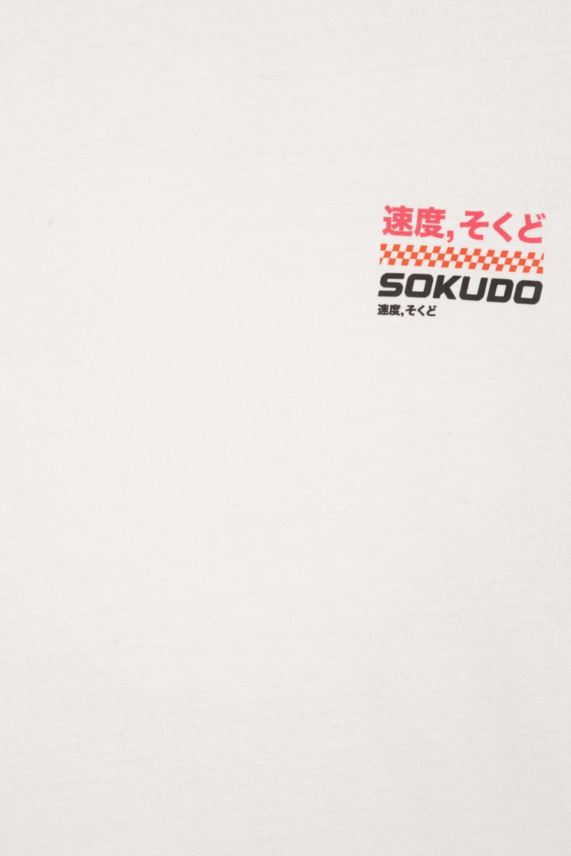 Men Crew Neck Short Sleeve Graphic Print T-Shirt, White
