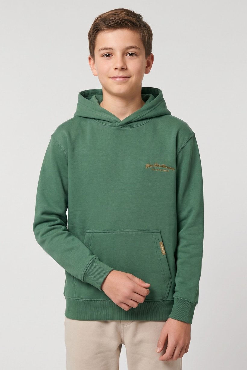 Kids Boy Embroidered Logo Long Sleeve Hoodie, Green
