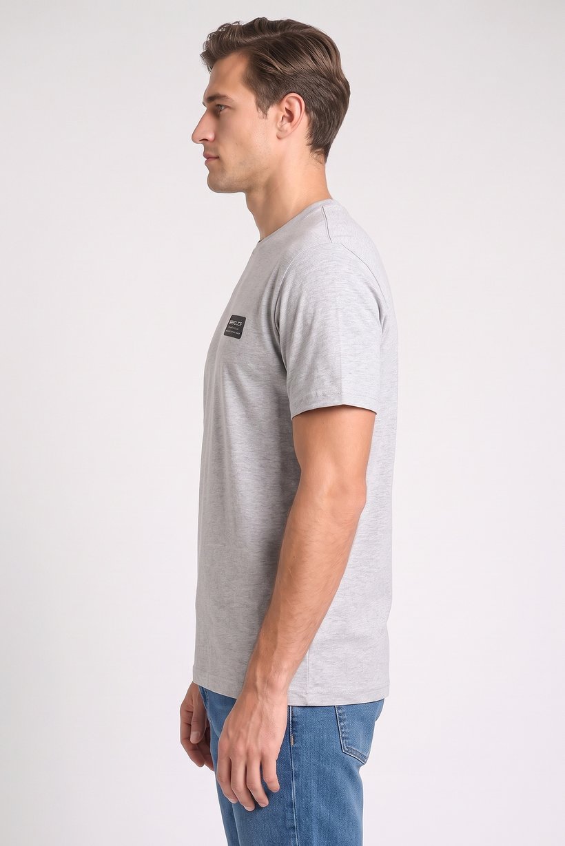 Men Crew Neck Short Sleeve Brand Logo T-Shirt, Light Grey