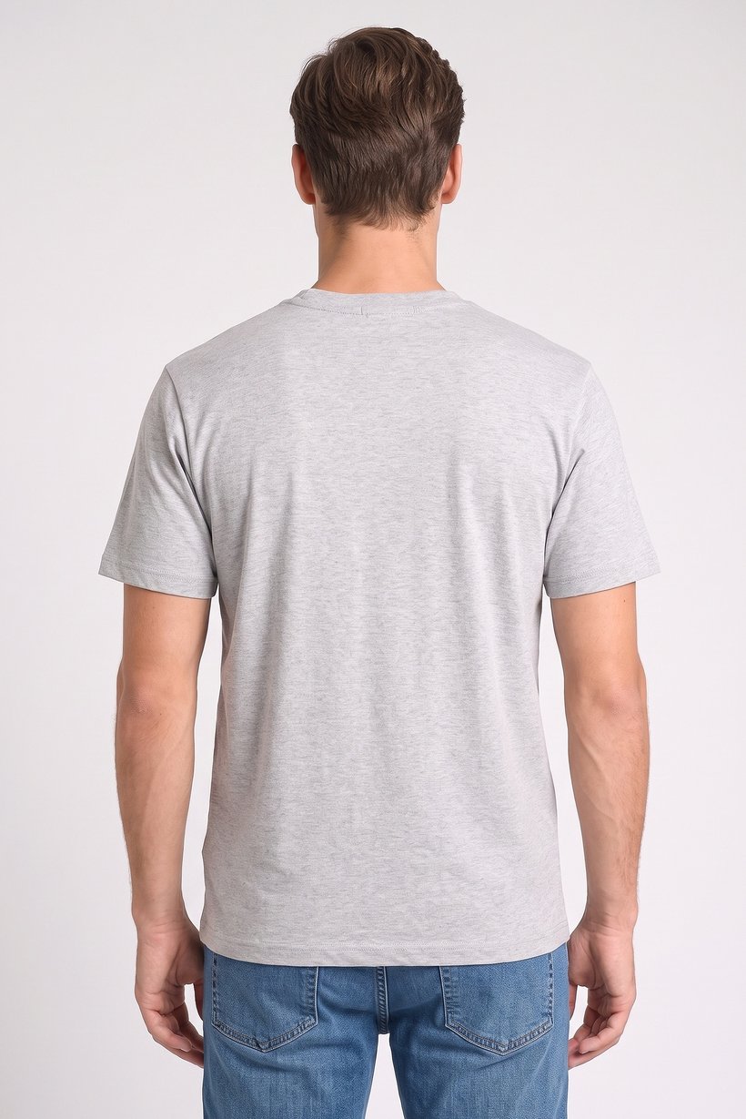 Men Crew Neck Short Sleeve Brand Logo T-Shirt, Light Grey