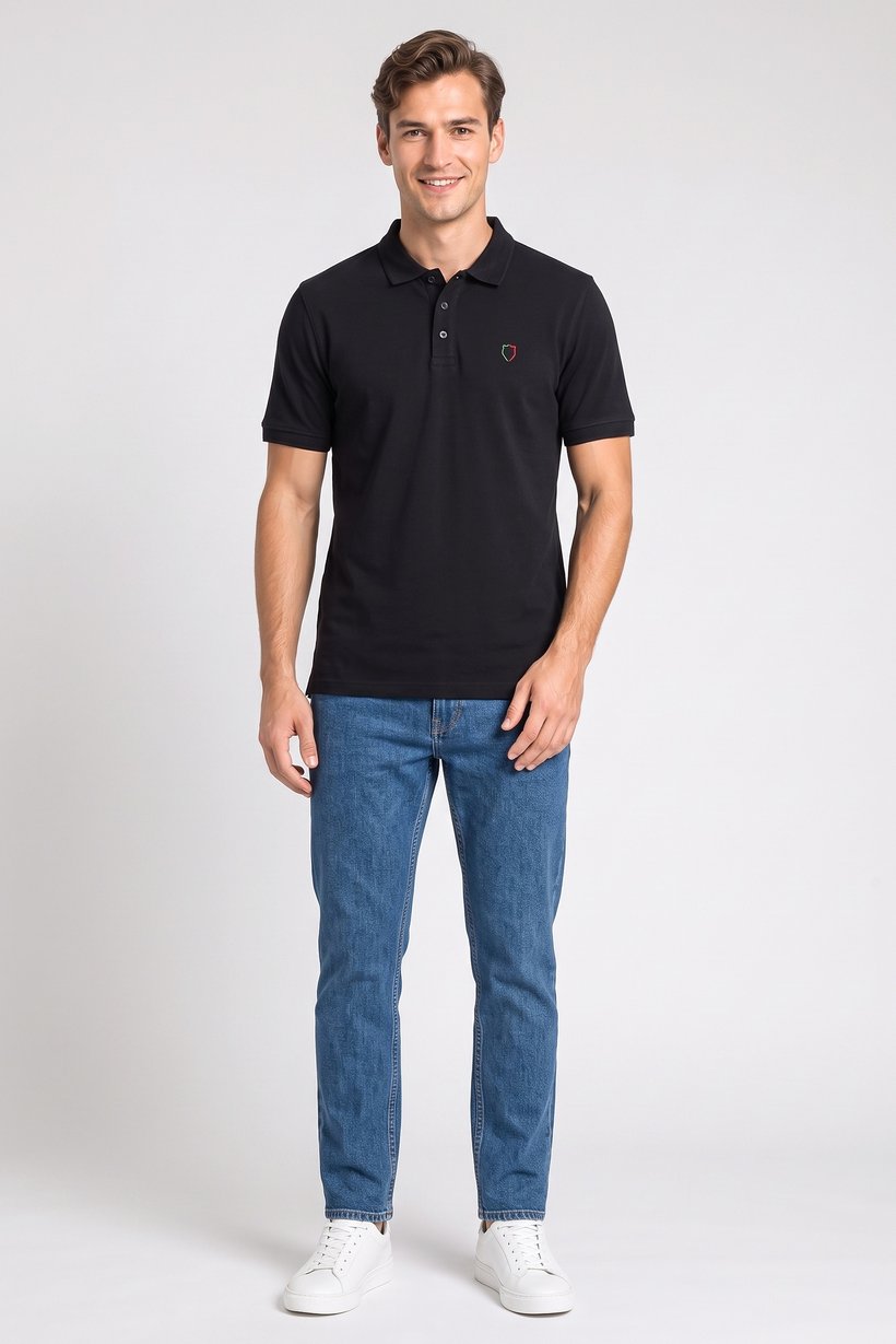 Men Regular Fit Embroidered Short Sleeve Polo Shirt, Black
