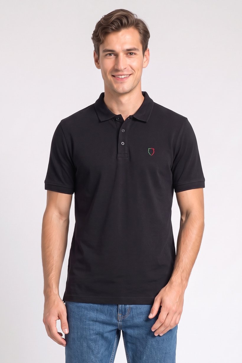 Men Regular Fit Embroidered Short Sleeve Polo Shirt, Black