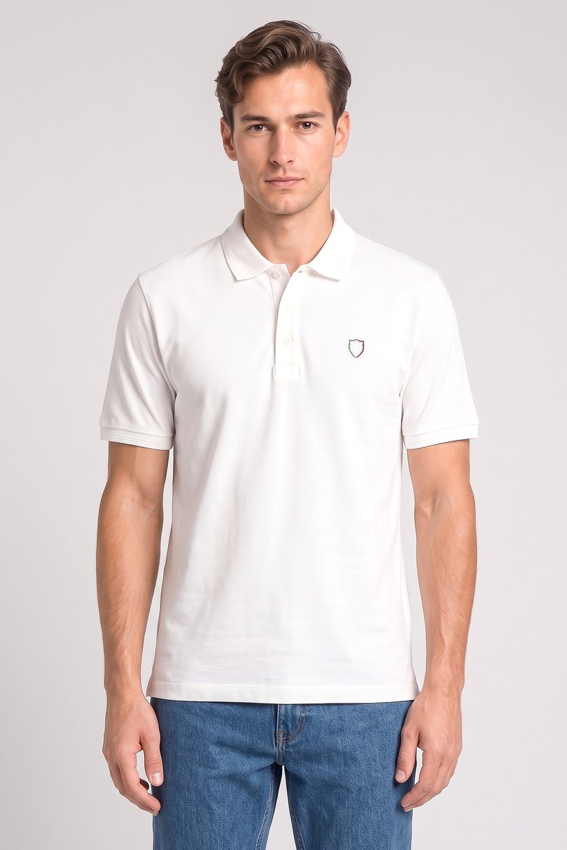 Men Regular Fit Embroidered Short Sleeve Polo, White