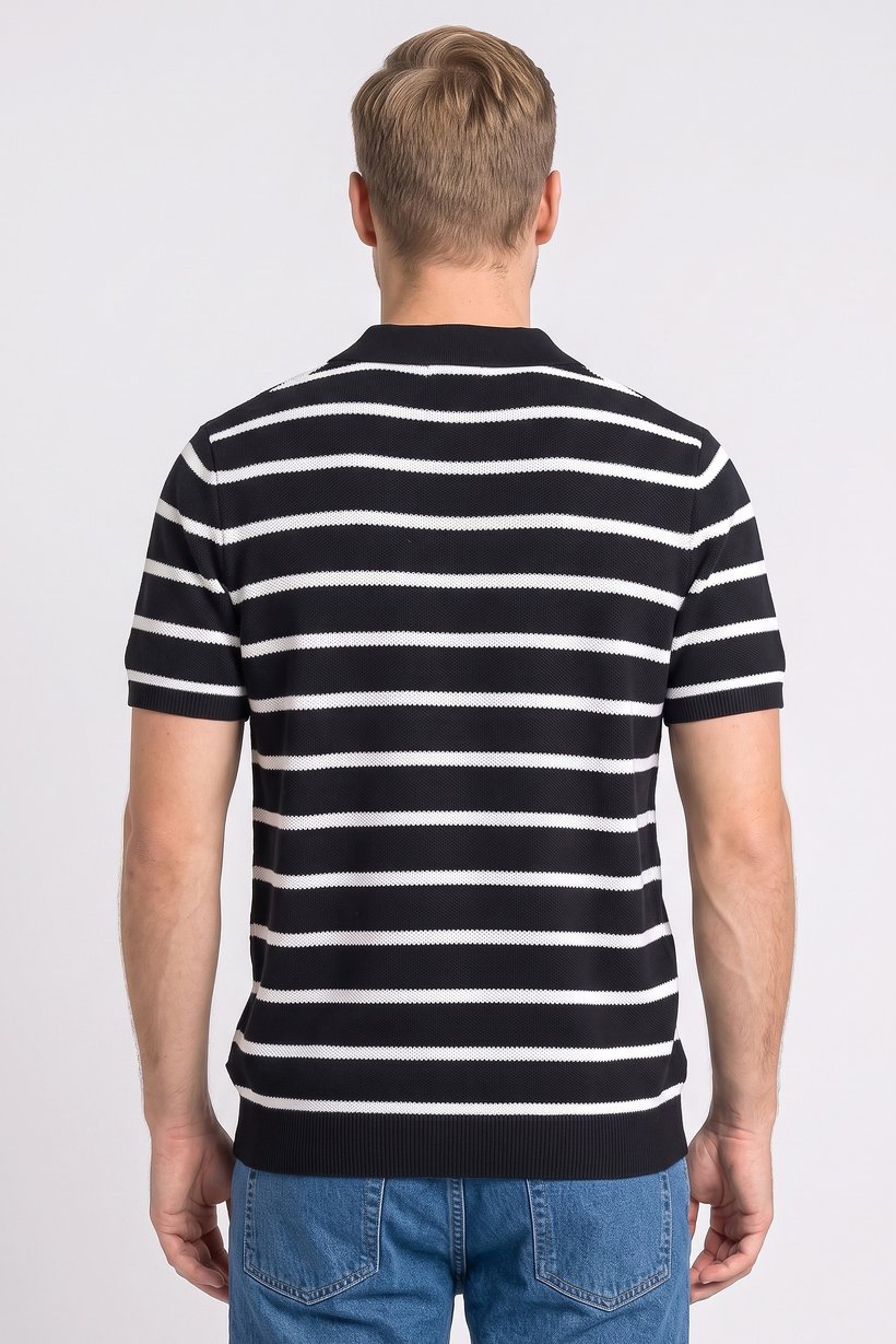 Men Regular Fit Stripe Short Sleeve Polo Shirt, Multicolor