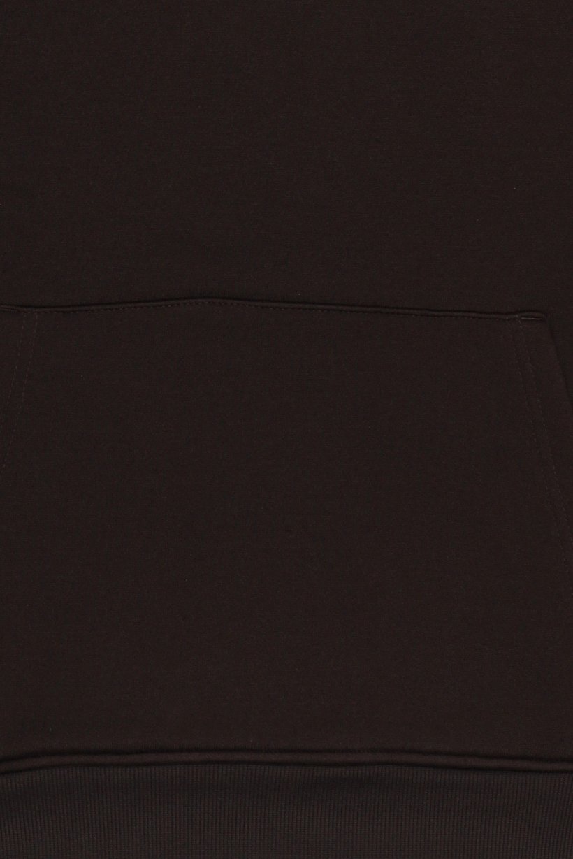 Men 2 Pcs Plain Hoodie And Sweatpant Set, Brown