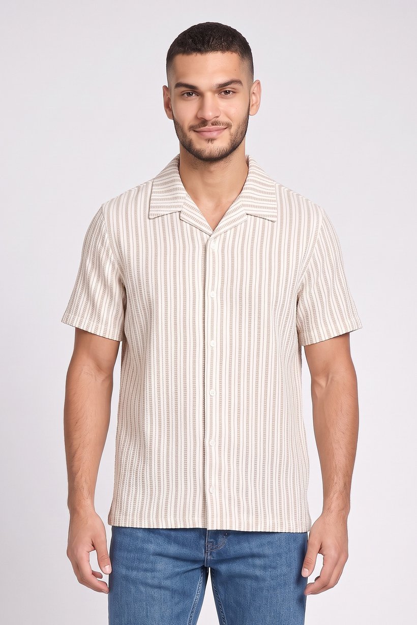 Men Regular Fit Stripe Short Sleeve Casual Shirt, Multicolor