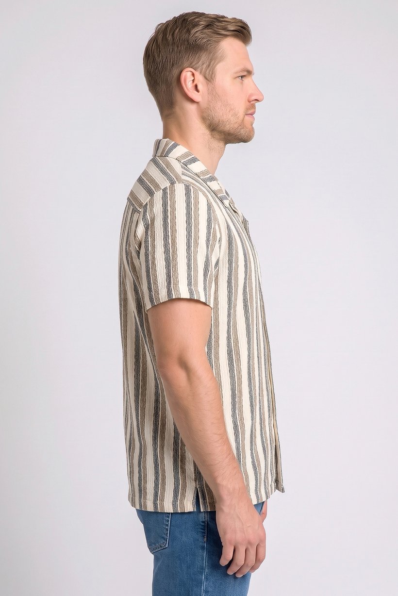 Men Regular Fit Stripe Short Sleeve Casual Shirt, Multicolor