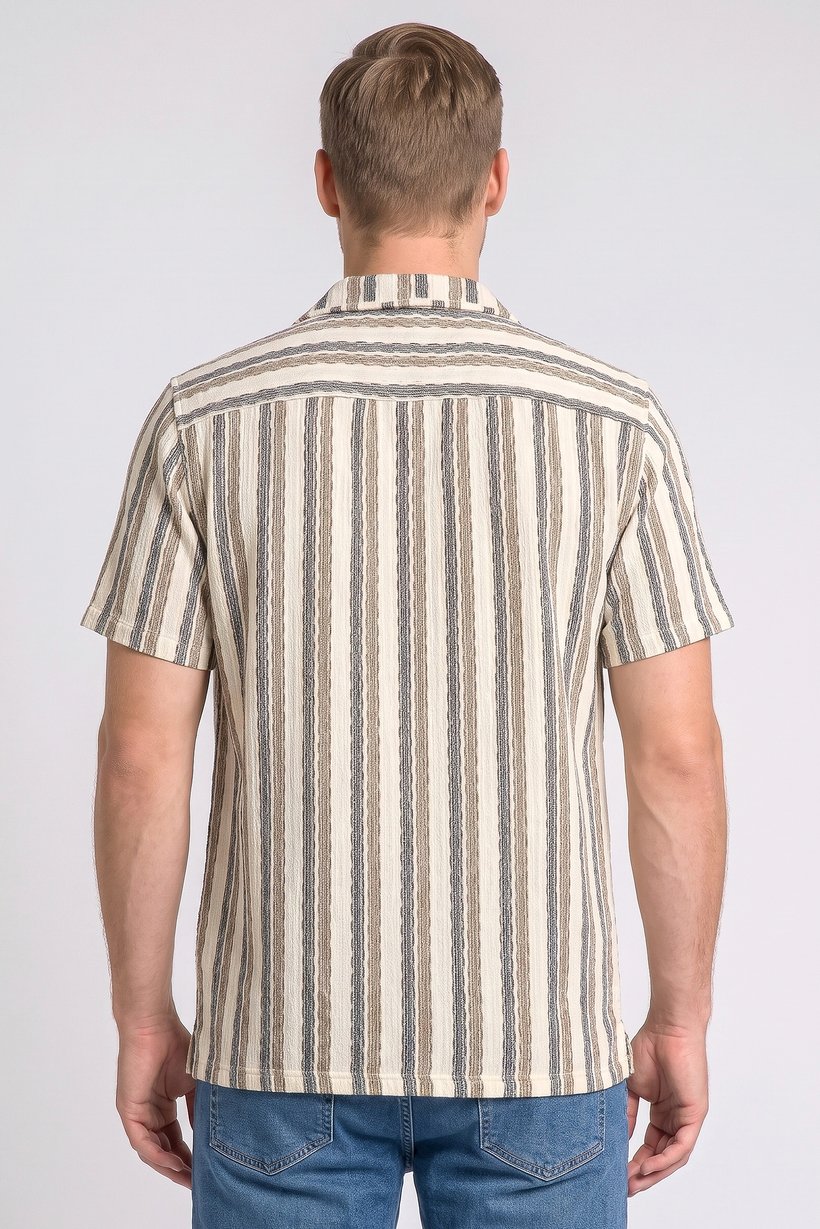 Men Regular Fit Stripe Short Sleeve Casual Shirt, Multicolor