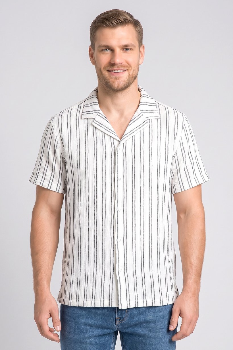 Men Regular Fit Short Sleeve Stripe Casual Shirt, Multicolor