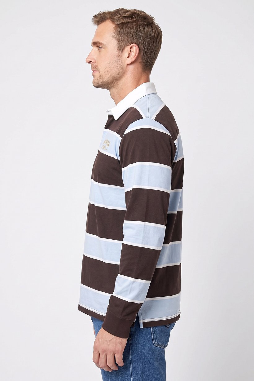 Men Regular Fit Long Sleeve Stripe Polo Shirt, Multicolor