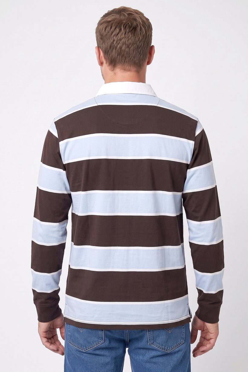 Men Regular Fit Long Sleeve Stripe Polo Shirt, Multicolor