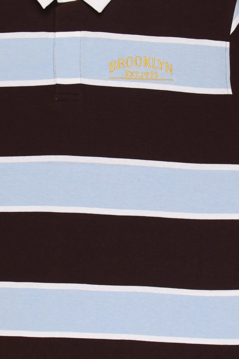 Men Regular Fit Long Sleeve Stripe Polo Shirt, Multicolor