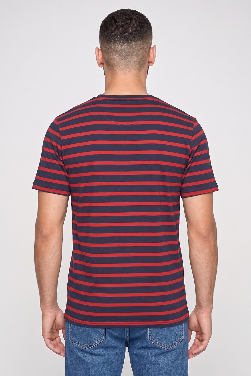 Men Crew Neck Short Sleeve Stripe T-Shirt, Multicolor