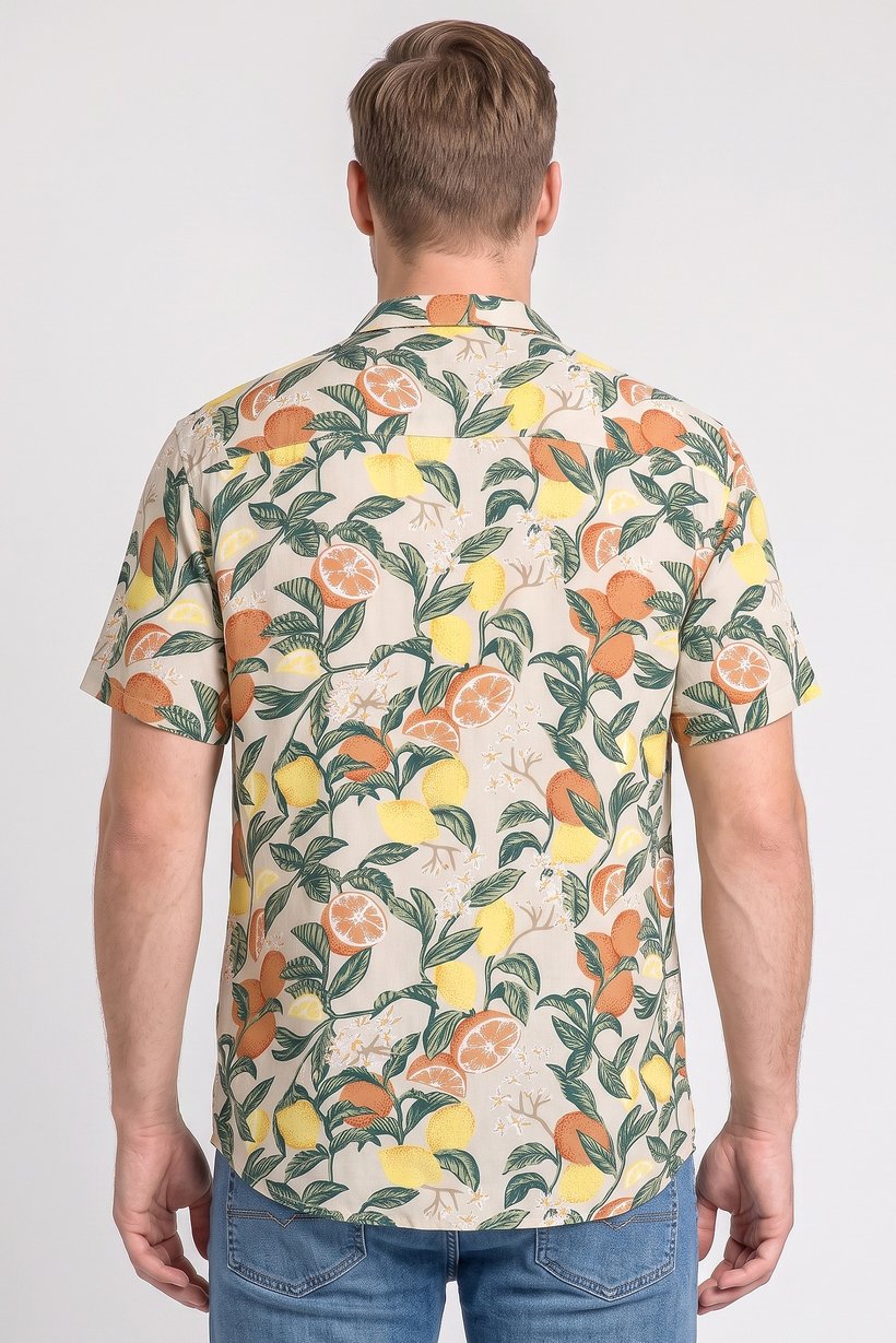 Men Regular Fit Short Sleeve Graphic Print Casual Shirt, Multicolor