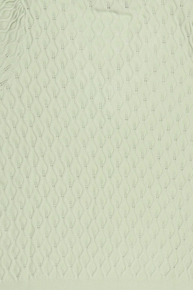 Women V Neck Short Sleeve Textured Top, Light Green
