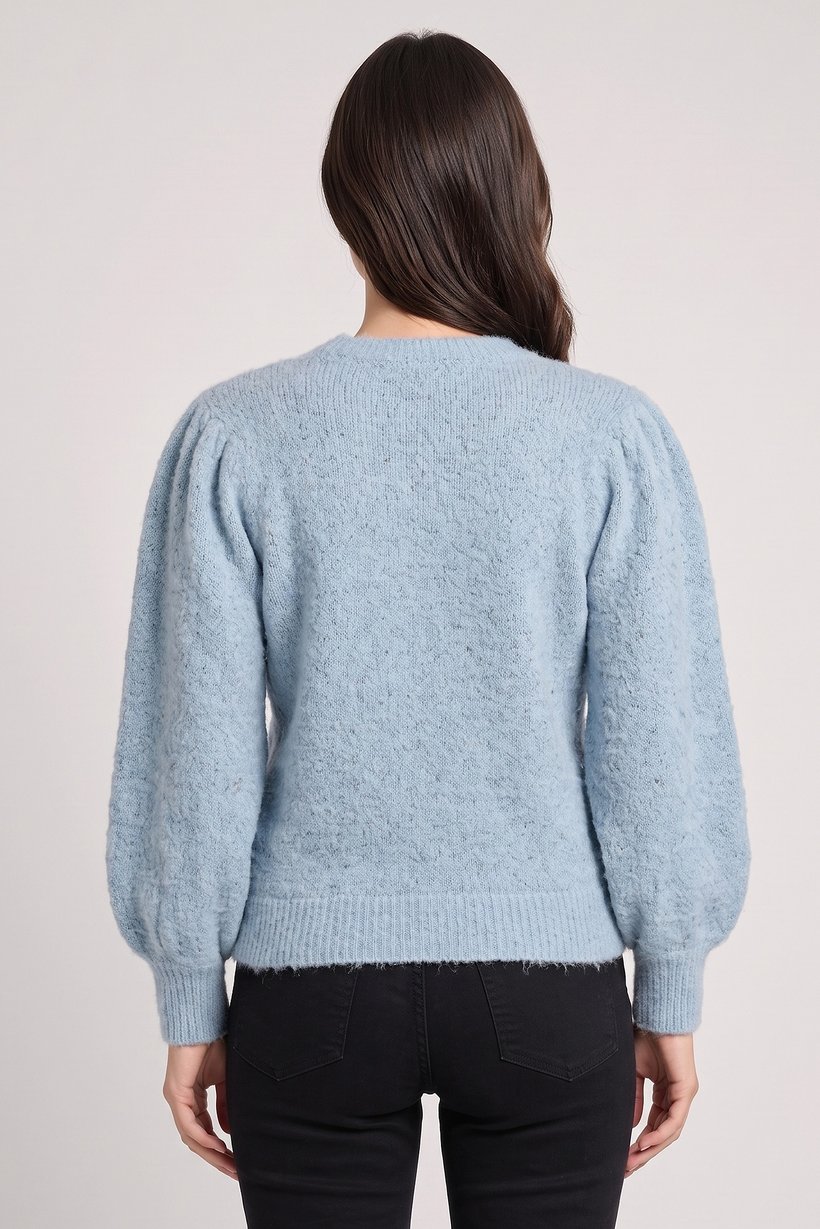 Women Crew Neck Textured Sweater, Light Blue